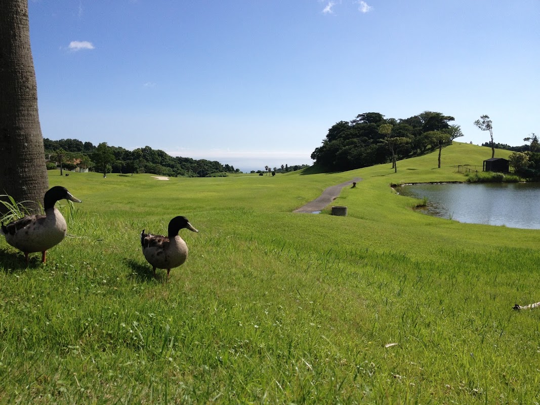 Pacific Blue Country Club — golf course in Oita, Japan