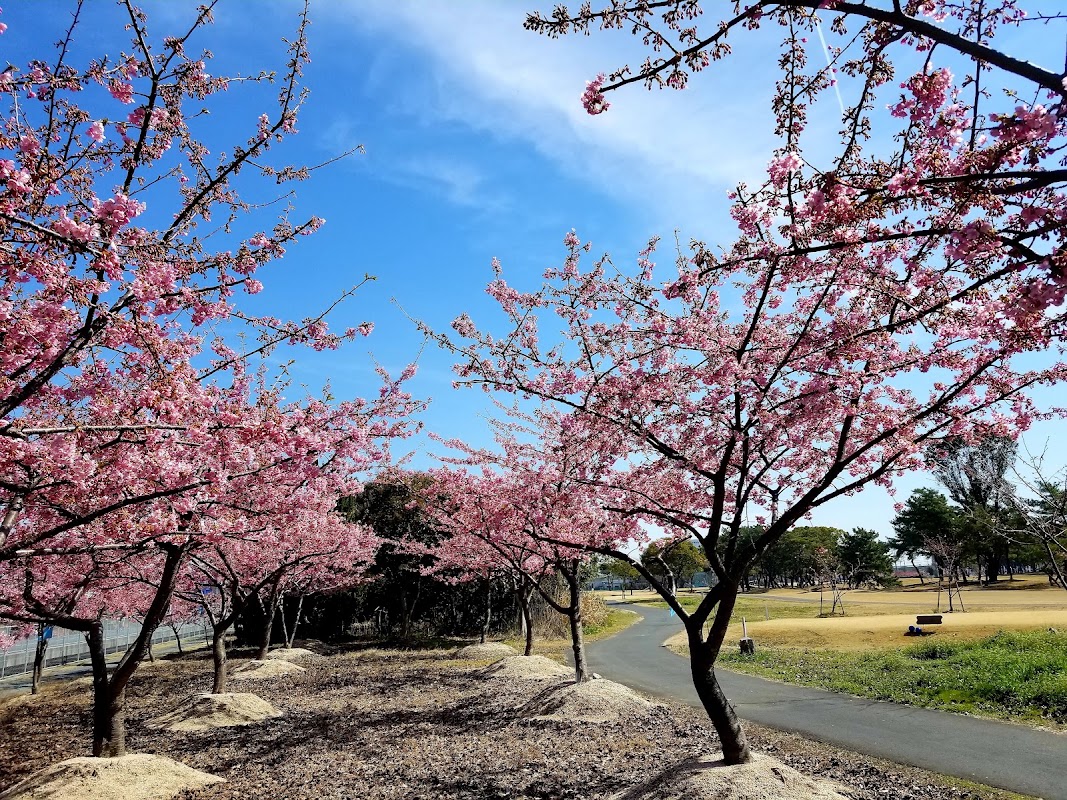 Flower corridor Golf Course — golf course in Okayama, Japan