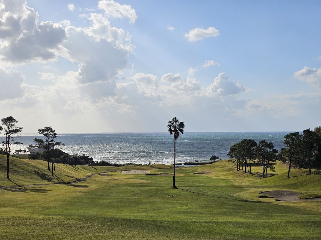 Cherry Golf Kagoshima Seaside Course — golf course in Kagoshima, Japan