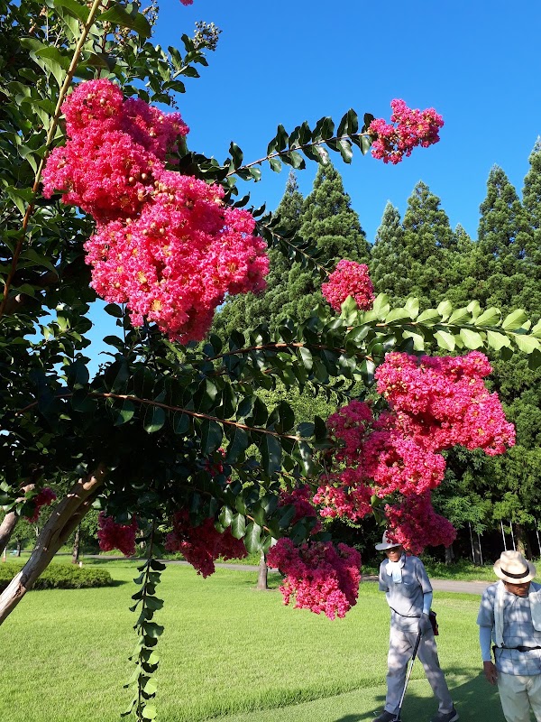 Supopakukawabe Ground Golf Course — golf course in Akita, Japan