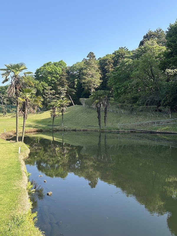 Tana Birdie Golf — golf course in Saga, Japan