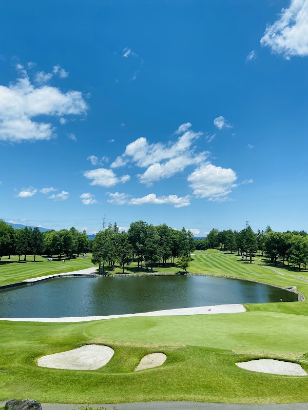 ピートダイゴルフクラブ VIPコース【PGM】 — golf course in Tochigi, Japan