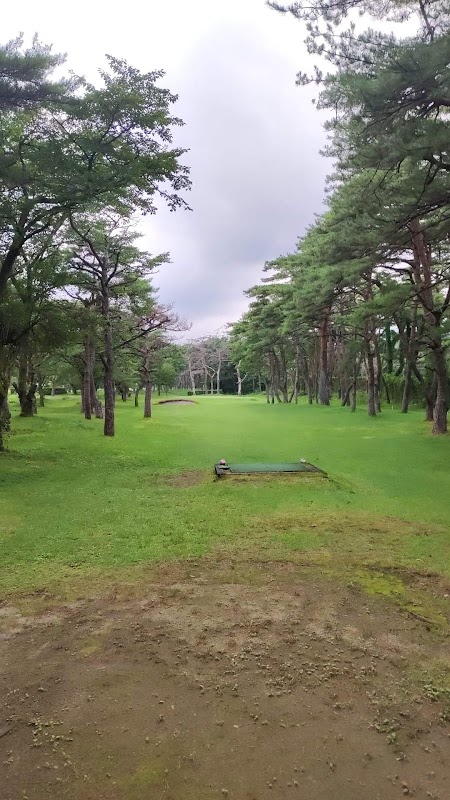 Nikko Athletic Park Civic Golf Course — golf course in Tochigi, Japan