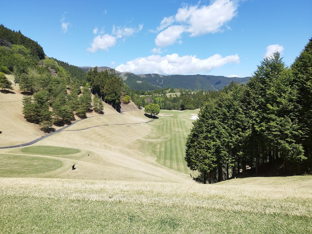 Ace Golf Club - Fujioka Courses — golf course in Gunma, Japan