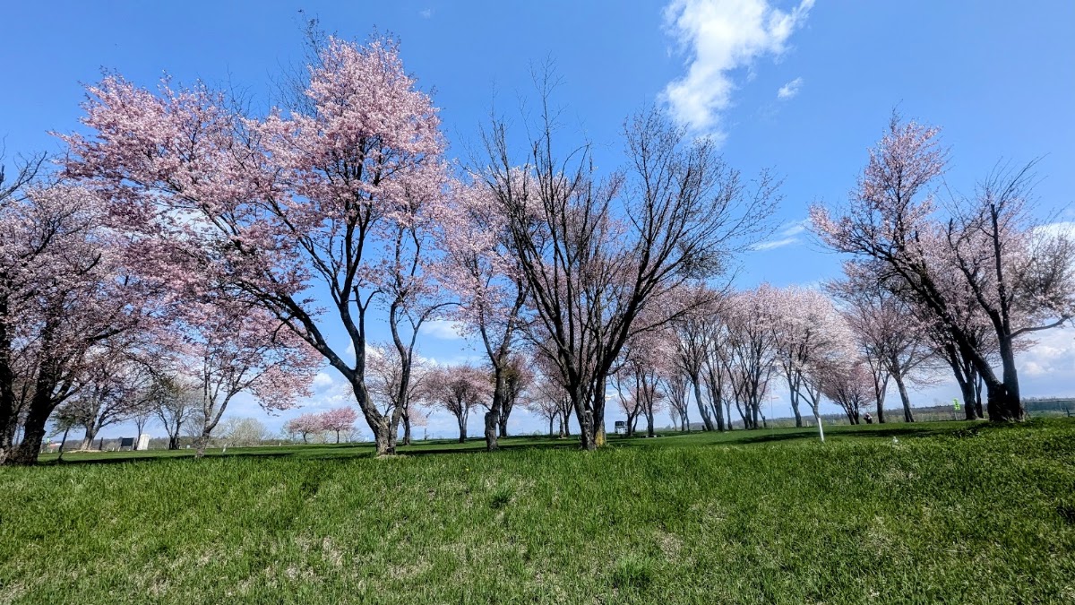 Tokachigawa Park Park Golf Ground — golf course in Hokkaido, Japan