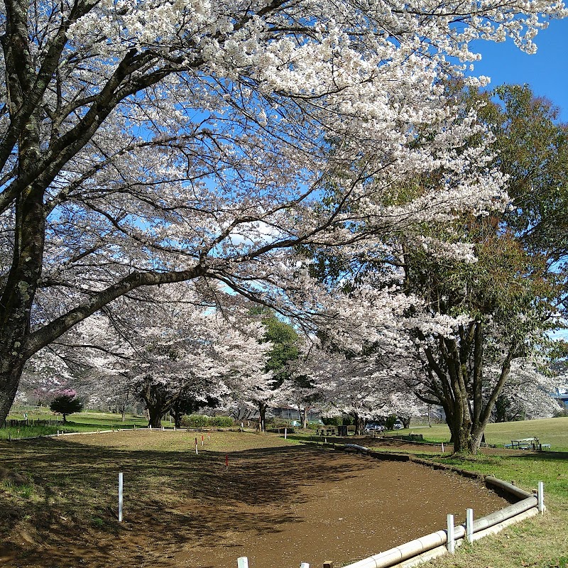 Fujino Mallet Golf Course — golf course in Saga, Japan