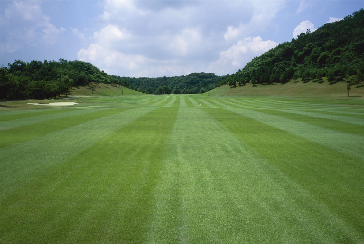 Kasai Country Club Golf — golf course in Hyogo, Japan