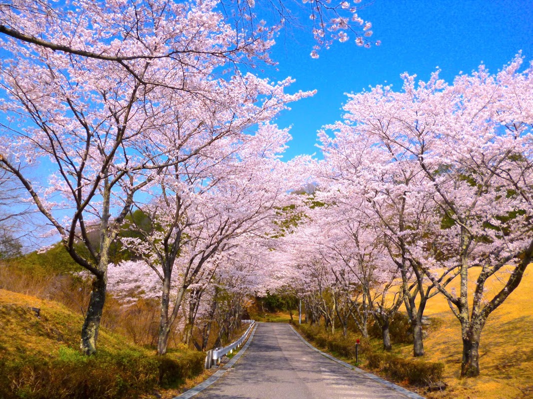 Omoigawa Golf Club — golf course in Tochigi, Japan