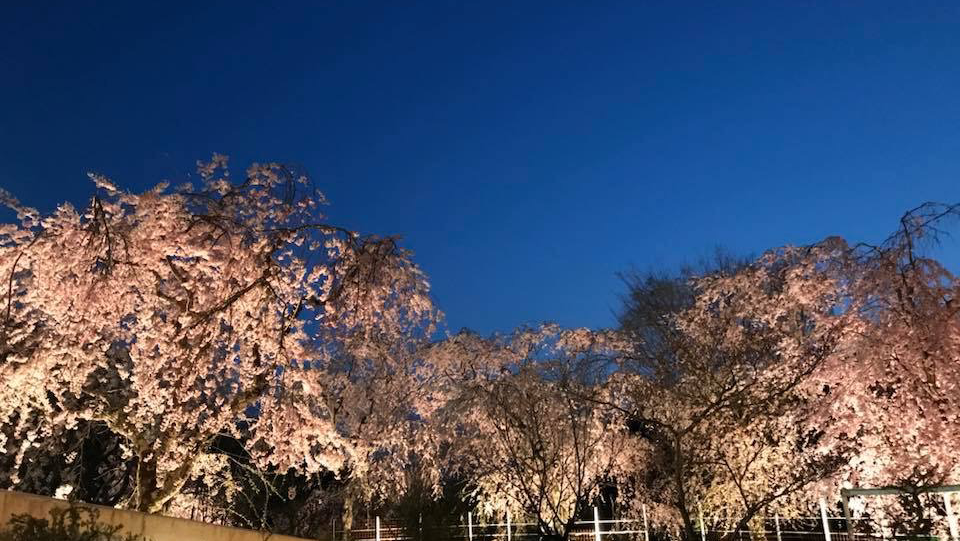 Shozan Golf Club — golf course in Kyoto, Japan
