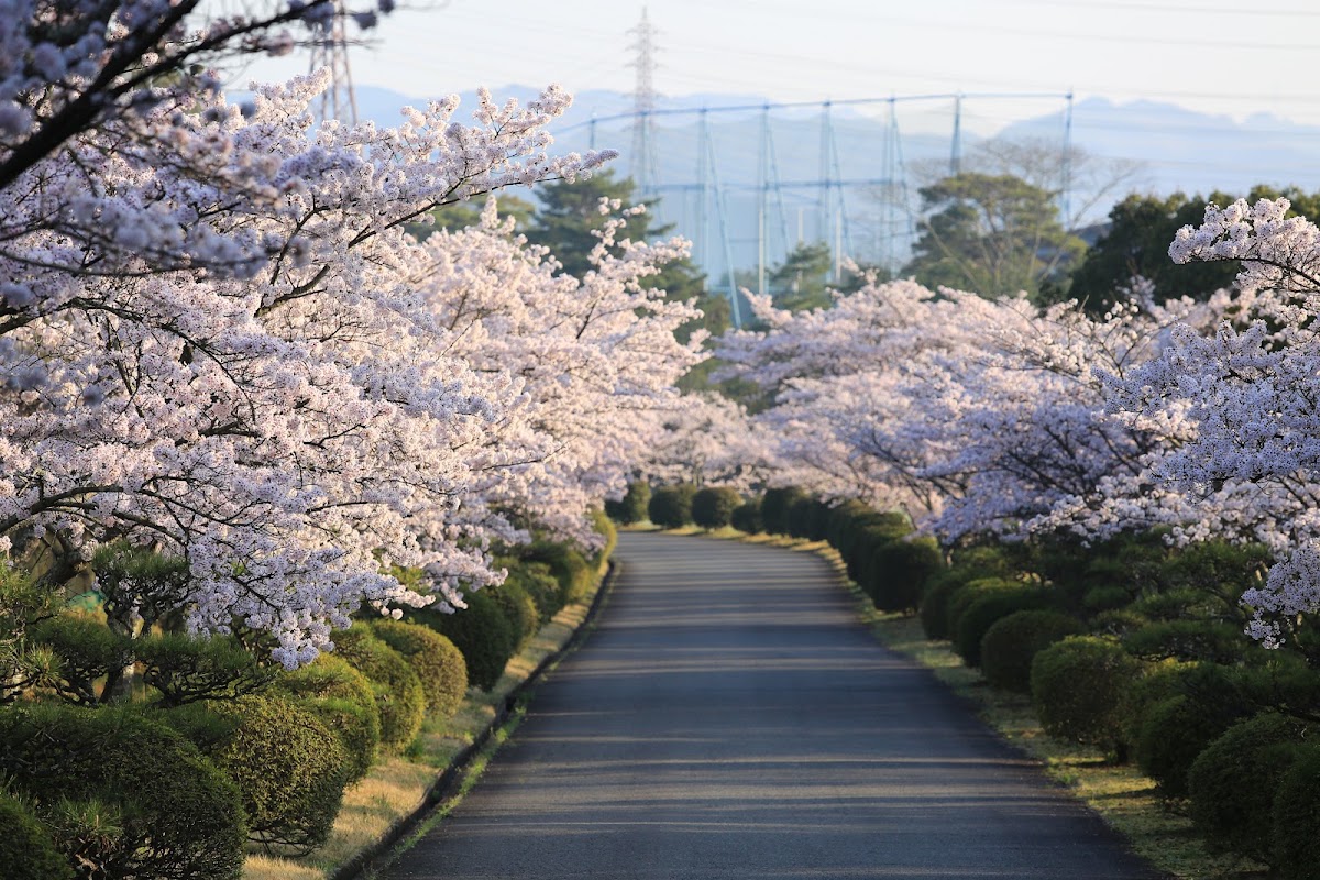 Arima Country Club — golf course in Hyogo, Japan