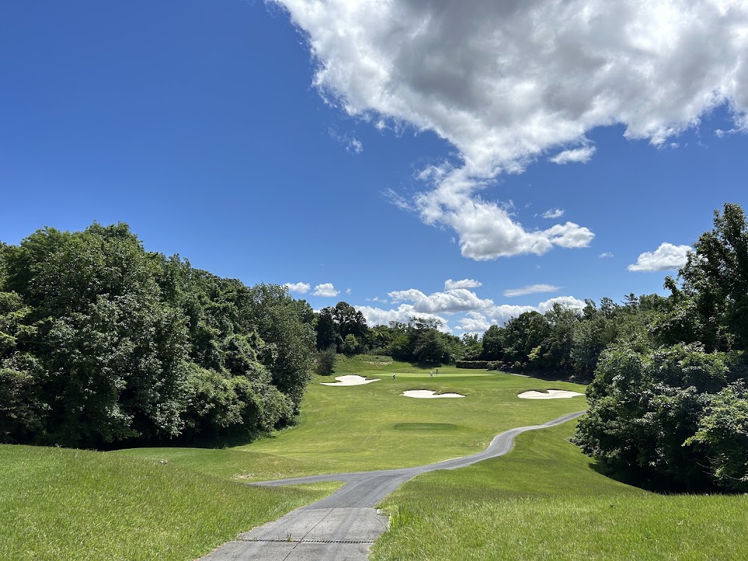 Wood Friends Forest Park golf course — golf course in Aichi, Japan