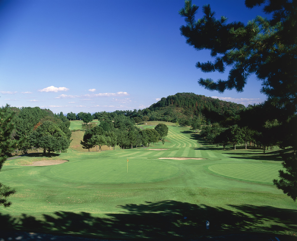 Minagawajo Country Club Golf — golf course in Tochigi, Japan