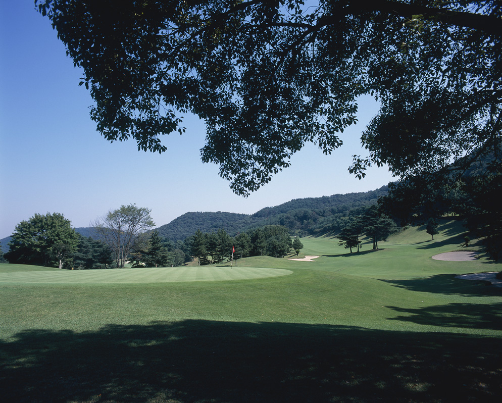 Ohiradai Country Club Golf — golf course in Tochigi, Japan