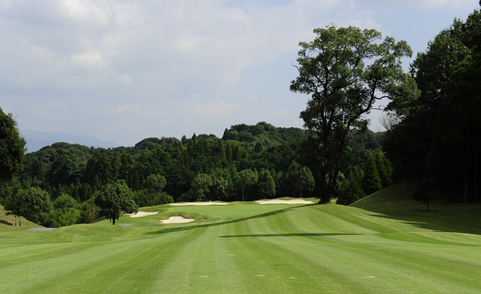 Saga Classic Golf Club — golf course in Saga, Japan