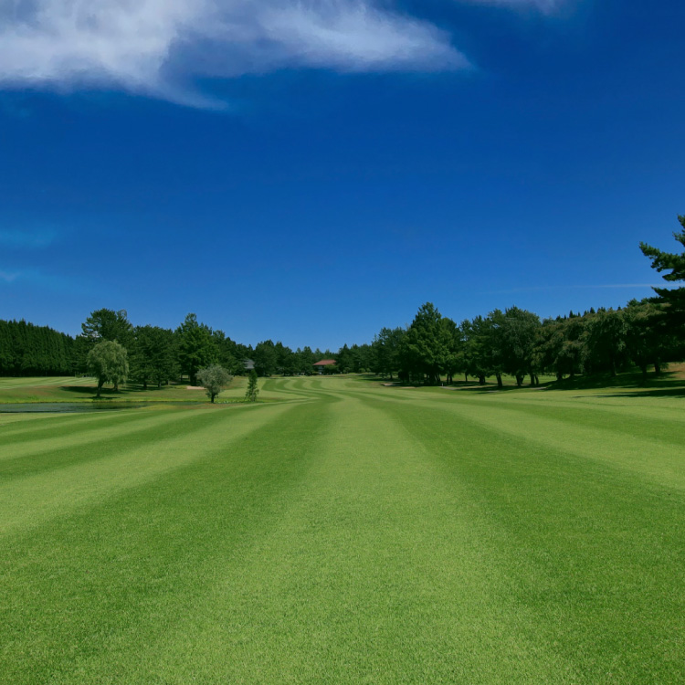 Akita Tsubakidai CC — golf course in Akita, Japan