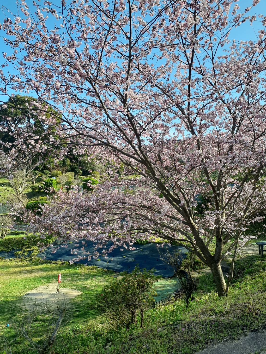 Flower Garden Hata Grand Golf Course — golf course in Shimane, Japan