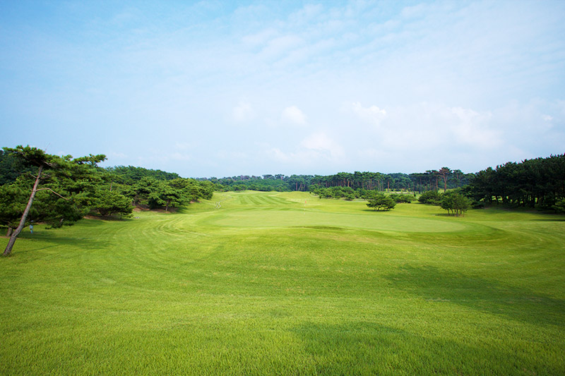 Nihonkai Country Club — golf course in Niigata, Japan