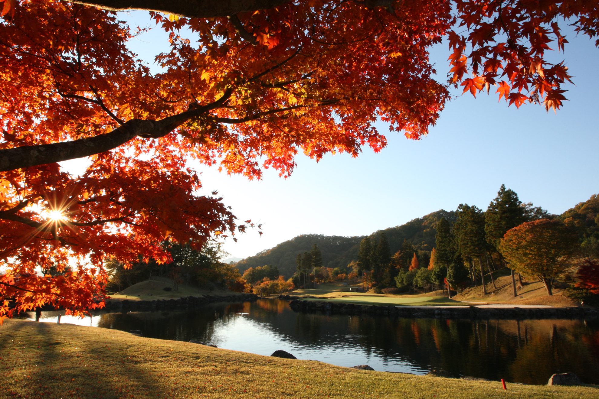 Maple Point Golf Club — golf course in Yamanashi, Japan