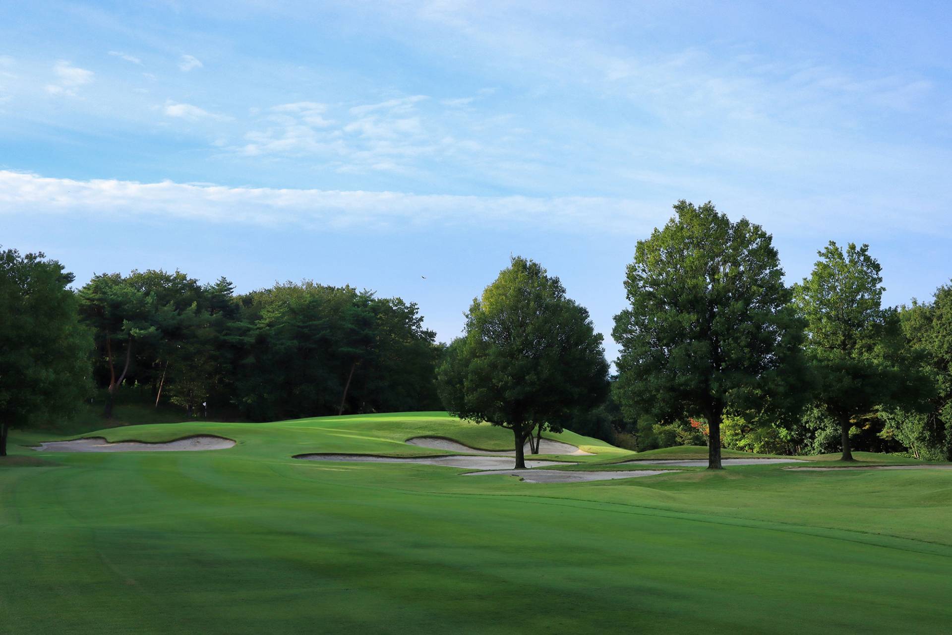 Ishizaka Golf Club — golf course in Saitama, Japan